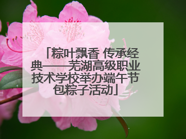 粽叶飘香 传承经典——芜湖高级职业技术学校举办端午节包粽子活动